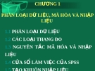 Chương 1. Phân loại dữ liệu, mã hóa và nhập liệu 