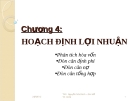 Lý thuyết hoạch định lợi nhuận