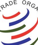 Báo cáo: Tổng quan về các hoạt động của WTO liên quan tới thương mại điện tử