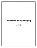 Câu hỏi đuôi: Những trường hợp đặc biệt