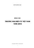 Báo cáo Thương mại điện tử Việt Nam năm 2004