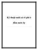 Kỹ thuật nuôi cá rô phi ở đầm nước lợ