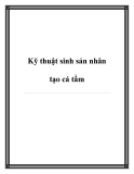 Kỹ thuật sinh sản nhân tạo cá tầm