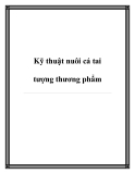 Kỹ thuật nuôi cá tai tượng thương phẩm