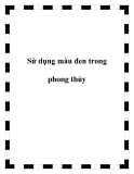 Sử dụng màu đen trong phong thủy