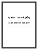 Kỹ thuật sản suất giống cá rô phi đơn tính đực