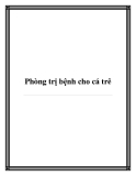 Phòng trị bệnh cho cá trê