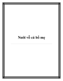 Nuôi vỗ cá bố mẹ