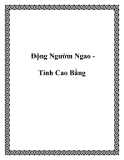 Động Ngườm Ngao Tỉnh Cao Bằng