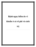 Bệnh nguy hiểm do vi khuẩn ở cá rô phi và cách trị