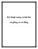 Kỹ thuật ương cá bột lên cá giống cá rô đồng