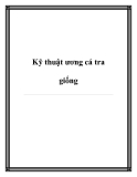 Kỹ thuật ương cá tra giống