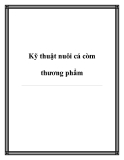 Kỹ thuật nuôi cá còm thương phẩm