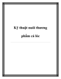 Kỹ thuật nuôi thương phẩm cá lóc