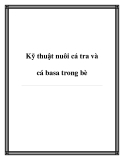 Kỹ thuật nuôi cá tra và cá basa trong bè