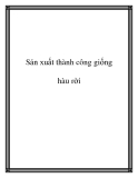 Sản xuất thành công giống hàu rời