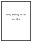 Hướng mới trong sản xuất tôm giống