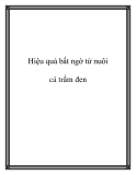 Hiệu quả bất ngờ từ nuôi cá trắm đen