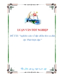 luận văn: nghiên cứu về đặc điểm thơ ca dân tộc thái hiện đại