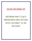 Luận văn thạc sĩ " MÔ HÌNH WRF VÀ QUY TRÌNH ĐỒNG HÓA SỐ LIỆU XOÁY GIẢ PHỤC VỤ DỰ BÁO BÃO "