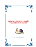 BÁO CÁO TỔNG HỢP CHUYÊN NGÀNH KINH TẾ ĐẦU TƯ