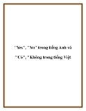 "Yes", "No" trong tiếng Anh và "Có", "Không trong tiếng Việt