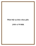 Phân biệt sự khác nhau giữa JOB và WORK