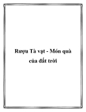 Rượu Tà vạt - Món quà của đất trời