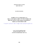 LUẬN VĂN: NGHIÊN CỨU SỰ ẢNH HƯỞNG CỦA THỨC ĂN TỰ CHẾ VÀ THỨC ĂN CÔNG NGHIỆP LÊN HIỆU QUẢ NUÔI CÁ TRA (Pangasius hypophthalmus) TRONG AO NUÔI THÂM CANH