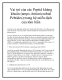 Vai trò của các Peptid kháng khuẩn (amps-Antimicrobial Pebtides) trong hệ miễn địch của tôm biển