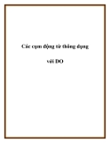 Các cụm động từ thông dụng với DO