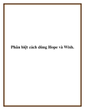 Phân biệt cách dùng Hope và Wish