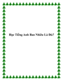 Học Tiếng Anh Bao Nhiêu Là Đủ?