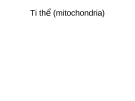 Ti thể (mitochondria)