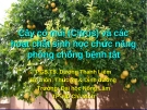 Cây có múi (Citrus) và các hoạt chất sinh học chức năng phòng chống bệnh tật  (TS. Dương Thanh Liêm)