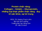 Protein chức năng:  Collagen – Gelatin – Glucoprotein, những loại thực phẩm chức năng  duy trì sức khỏe, sự trẻ trung  (TS. Dương Thanh Liêm)