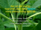 Hạt mè với những hoạt chất chức năng lignans trong phòng chống bệnh tật (TS. Dương Thanh Liêm)