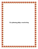 Các phương pháp e-marketing