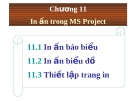 In ấn trong MS Projec