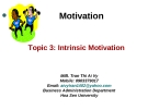  Intrinsic motivation