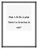 Phật A Di Đà và phật Thích Ca: là hai hay là một?