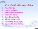 Câu hỏi môn quản lý nhà nước