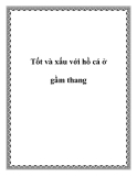 Tốt và xấu với hồ cá ở gầm thang