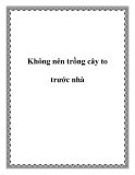 Không nên trồng cây to trước nhà