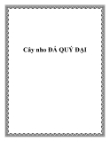 Cây nho ĐÁ QUÝ ĐẠI