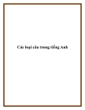 Các loại câu trong tiếng Anh