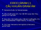 COCCI GRAM (-) CẦU KHUẨN GRAM ÂM