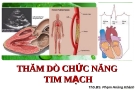 Bài giảng: Thăm dò chức năng tim mạch