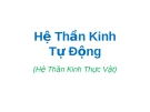 Bài giảng: Hệ Thần Kinh Tự Động