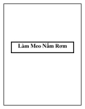 Làm Meo Nấm Rơm